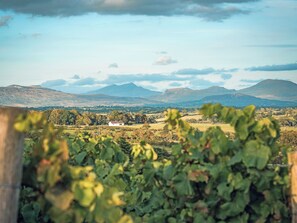 Image sans description, 5 de 18, bouton