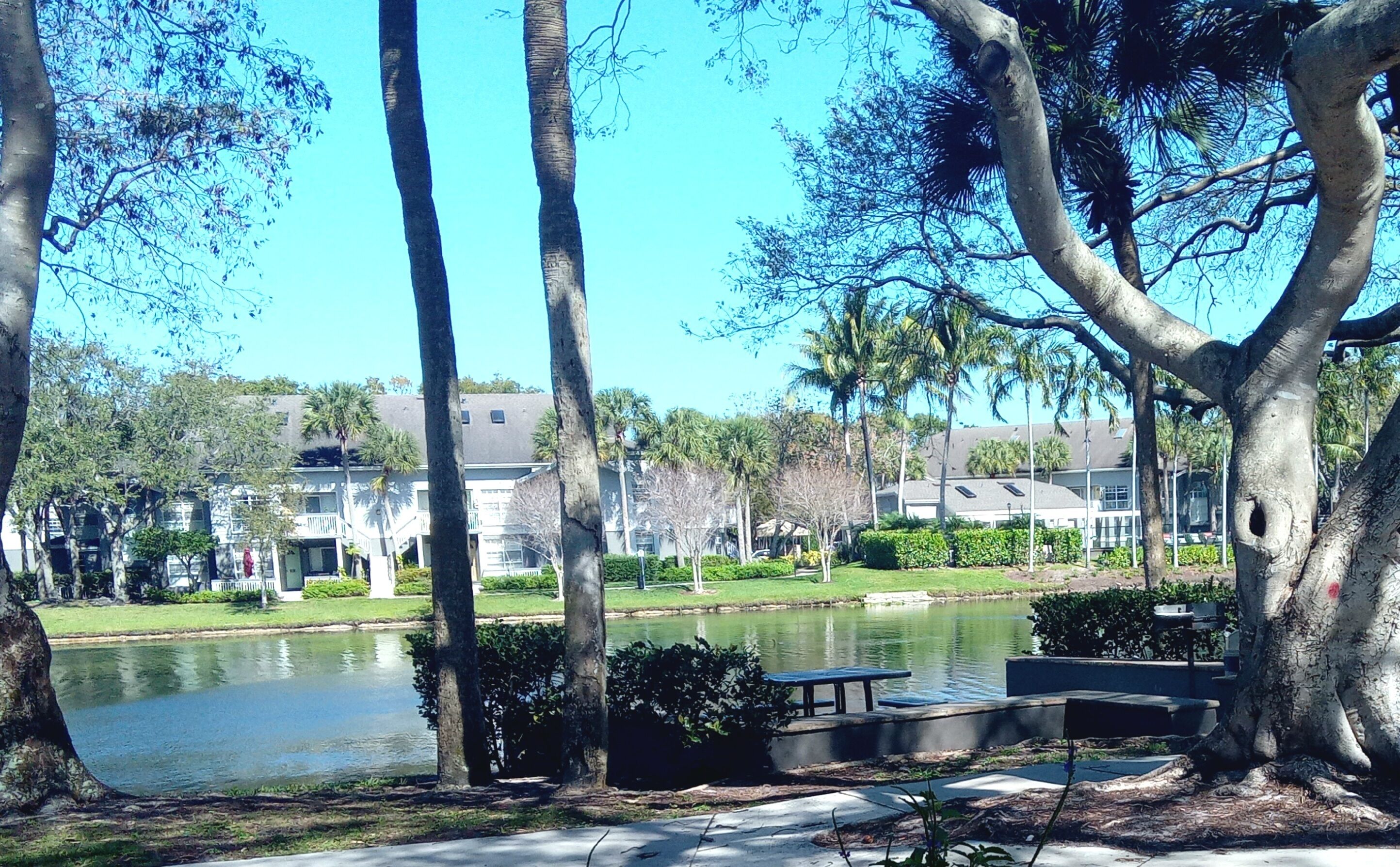 Cozy Getaway by the lake in the city