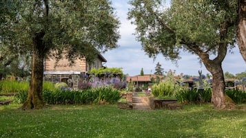 Parco della struttura