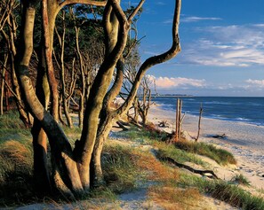 Beach nearby - Achterdönz - Sommerliches,gemütliches Haus mit Komfortabler Ausstattung (Born am Darß)