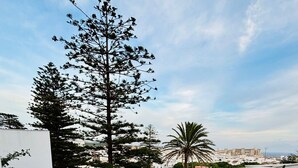 A terrace with three wicker chairs and a small table, surrounded by potted plants and a tall tree. - 207 - Apartamento Tarifa Sun (Tarifa)