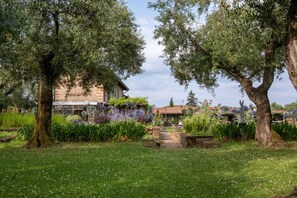 A garden with a pathway leading to a building with a tiled roof. - BIG.Apt.3bdr@OlimagioFarm-Tuscany (Pietrasanta)