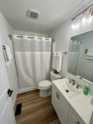 A bathroom with a toilet, shower curtain, sink, and mirror. - Stylish In-Town Retreat - 2 Bedroom, 1 Bathroom - Modern Comfort (Marion)