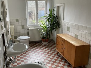 Secadora de cabello, toallas, jabón, papel de baño 