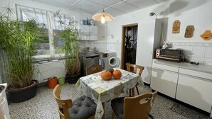 Une cuisine équipée d’une table à manger, de chaises, d’un lave-linge, d’un grille-pain et de plantes en pot.