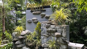Entrada de hotel con pared de piedra y abundante vegetación.