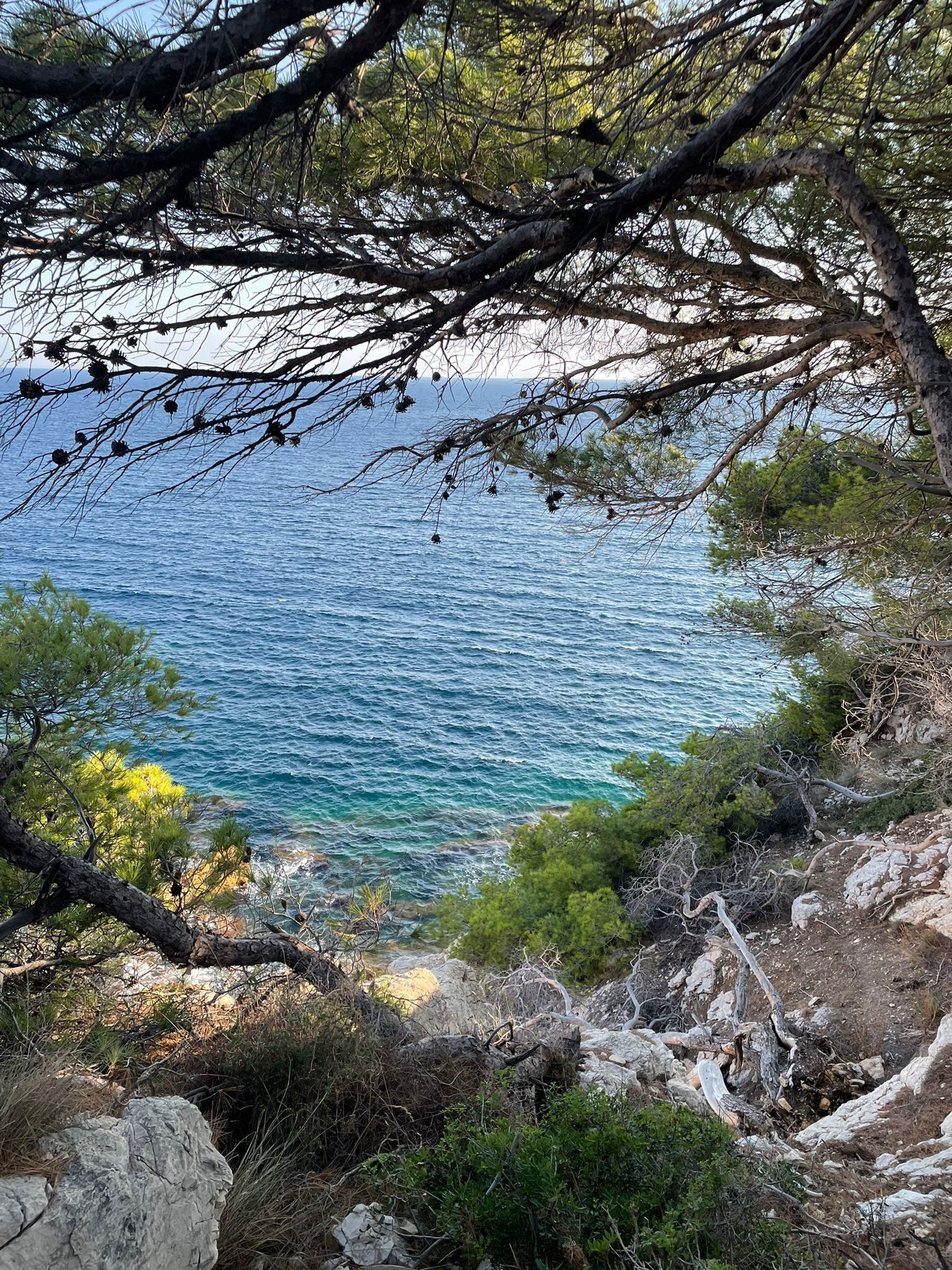 A coastal landscape with rocky terrain, sparse vegetation, and a view of the sea.