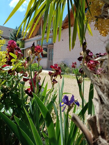 Gîte des Palmiers, à Ameugny - Taizé
