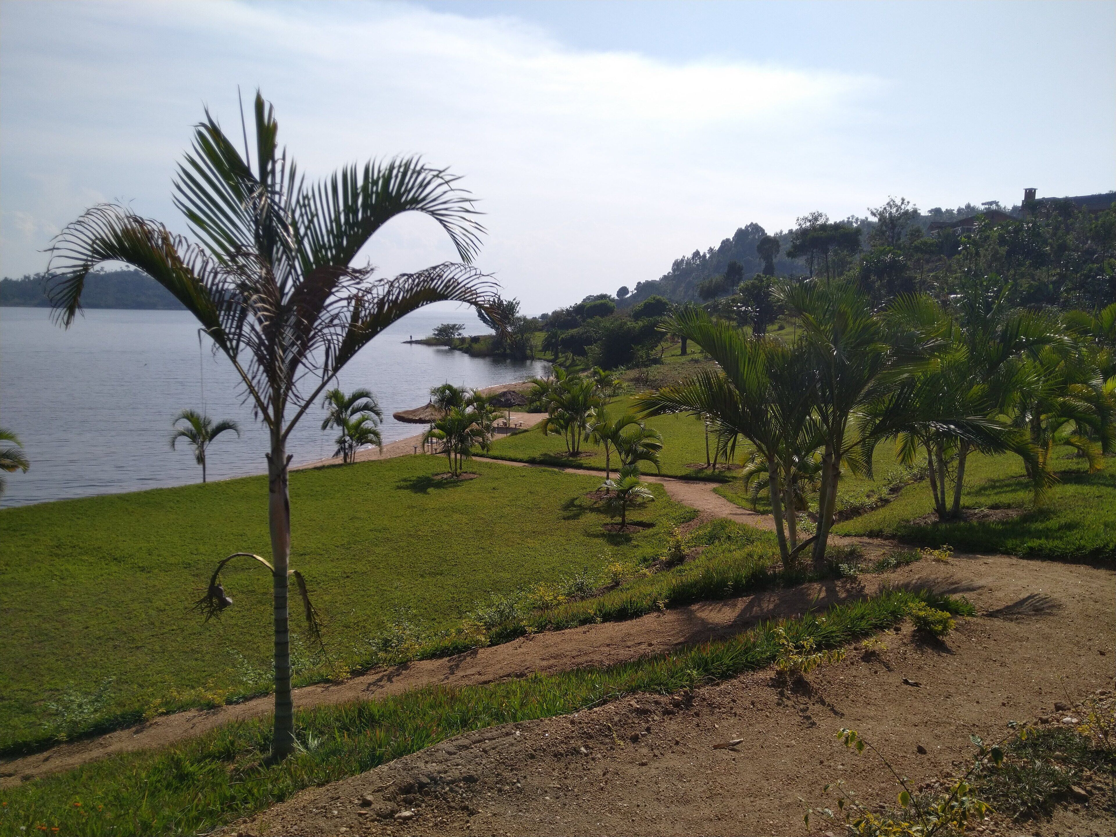 Paisatge costaner amb una zona enjardinada, palmeres i un cos d'aigua.