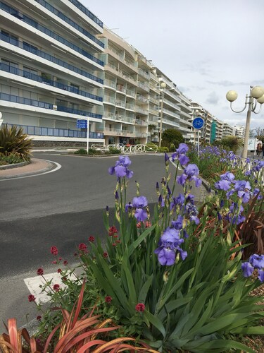 À 5mn à Pied de la Plage et du Marché Studio Dans Petite Résidence Très Calme