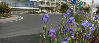 À 5mn à Pied de la Plage et du Marché Studio Dans Petite Résidence Très Calme