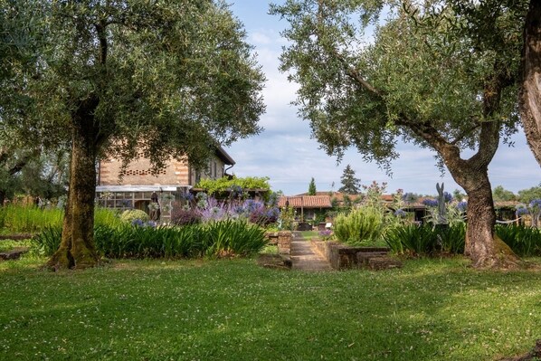 Áreas de la propiedad