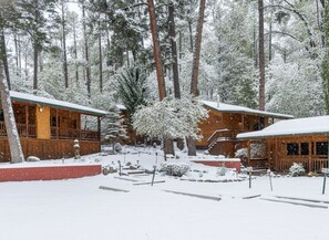 Eksteriør