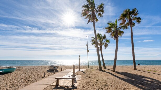 A beach with a wooden walkway, palm trees, and a boat on the sand.