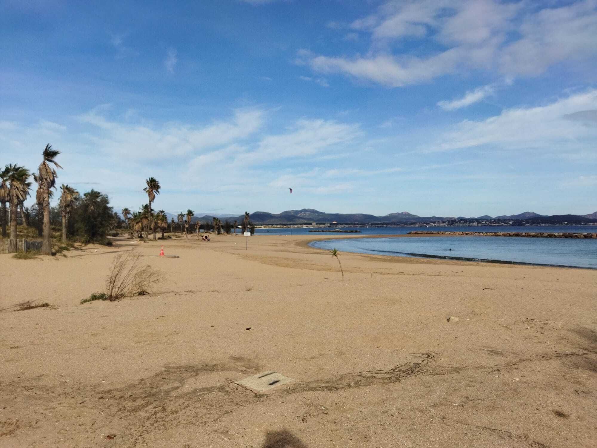 Une plage de sable avec des palmiers et un ciel dégagé.