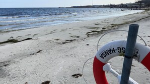 Un poste de surveillance des sauveteurs, avec un bouée de sauvetage rouge et blanche, sur une plage de sable où l’on peut voir des empreintes de pas et des algues.