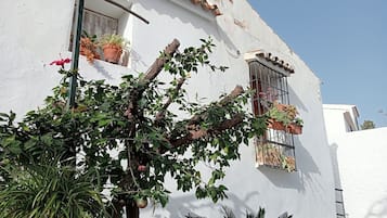 DĂ©tail de lâextĂ©rieur