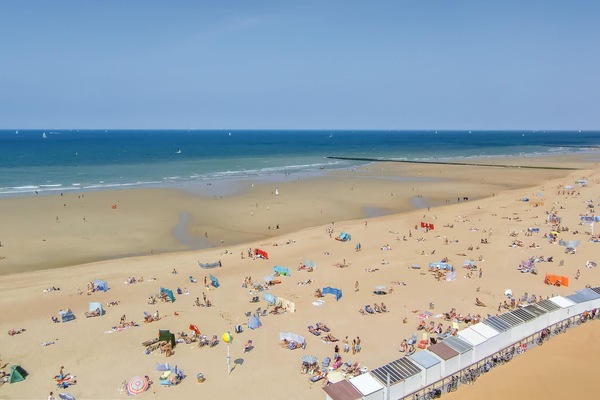 Playa en los alrededores y pesca