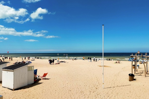 Vlak bij het strand, vissen
