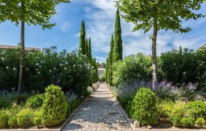 Terrein van de accommodatie