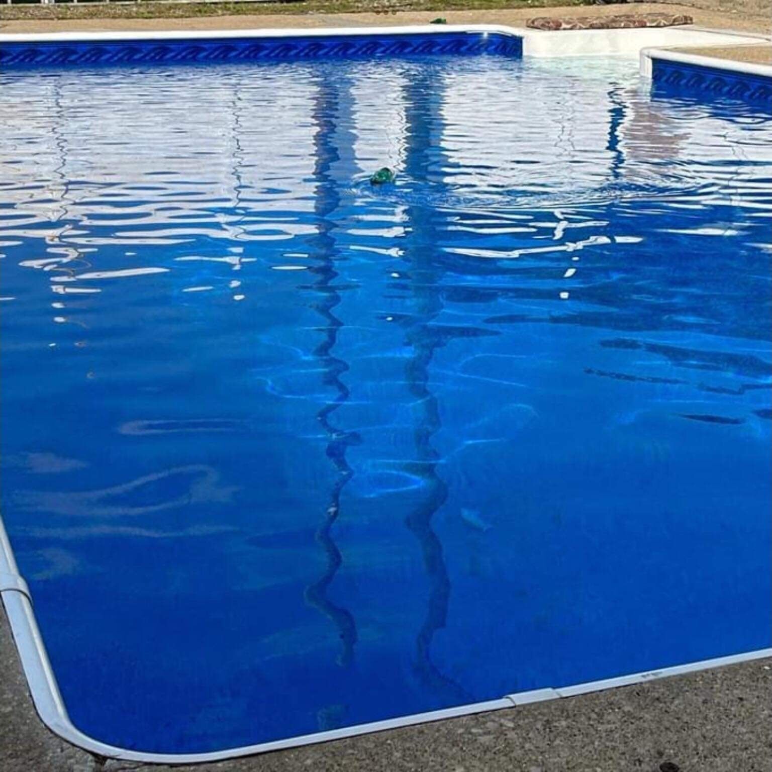 Une piscine rectangulaire avec un revêtement intérieur bleu et un bord blanc.