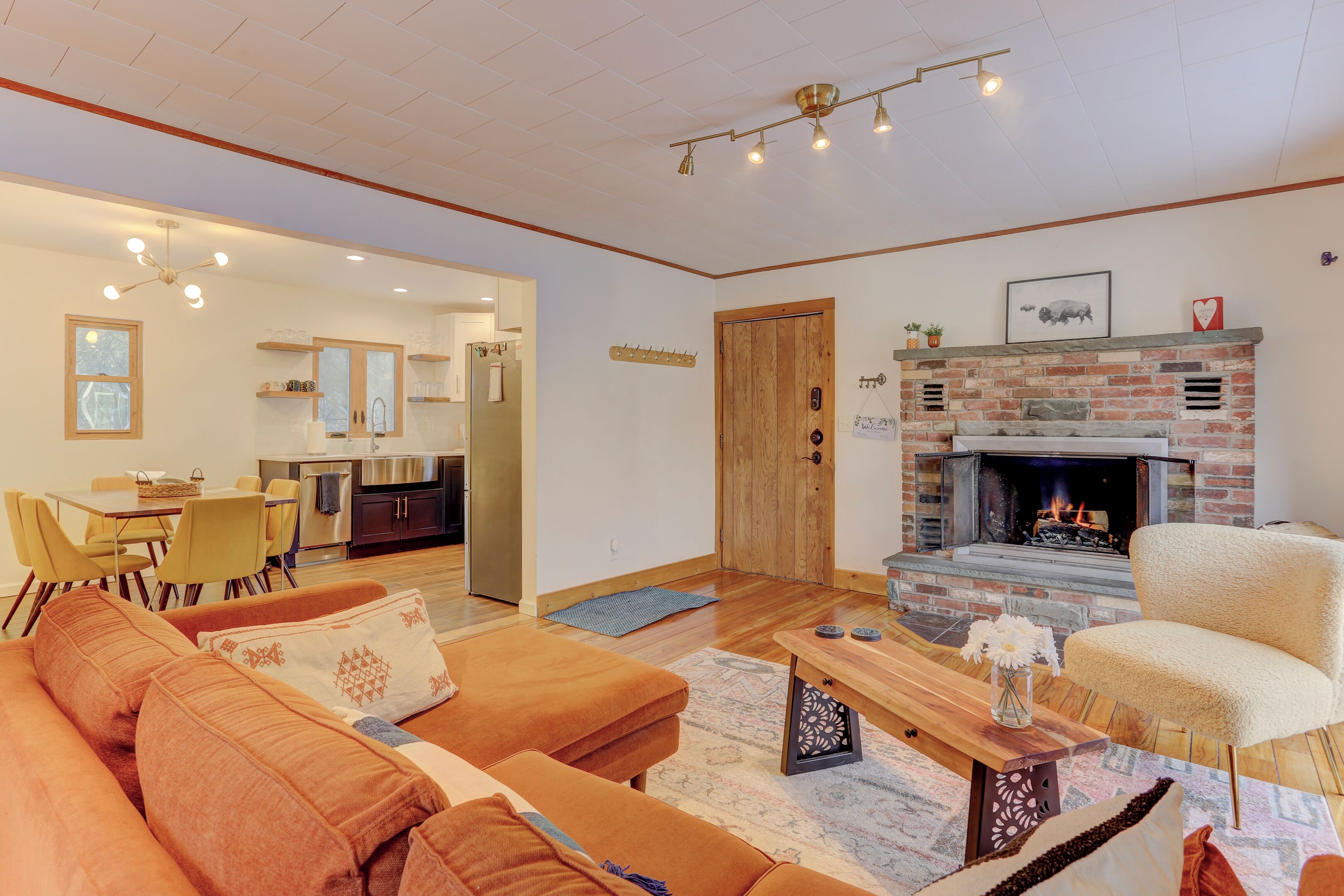 Smart TV, fireplace, books, music library