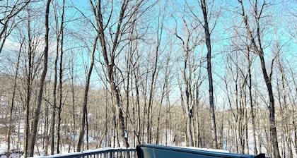 Hot Tub, Sauna, Fireplace, & Vinyl– Adventure & Charming Towns!