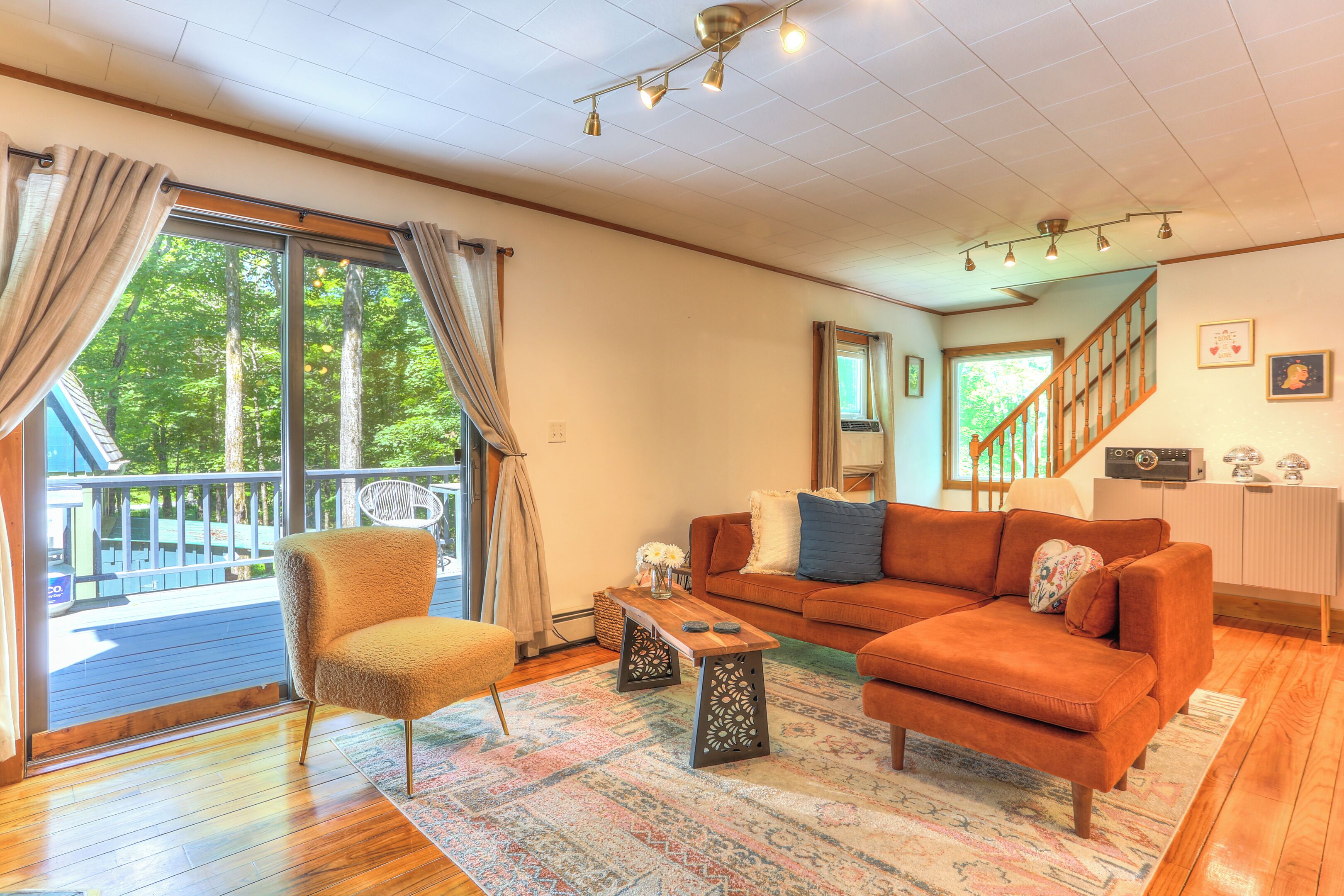 智能電視、壁爐、書籍、音樂庫