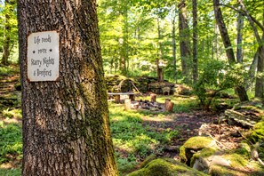 A forest scene with a sign on a tree that reads 'Life needs more Starry Nights & Bonfires.' - Entire Catskills Retreat - Hot Tub • Sauna • Fireplace • Vinyl (Jeffersonville)