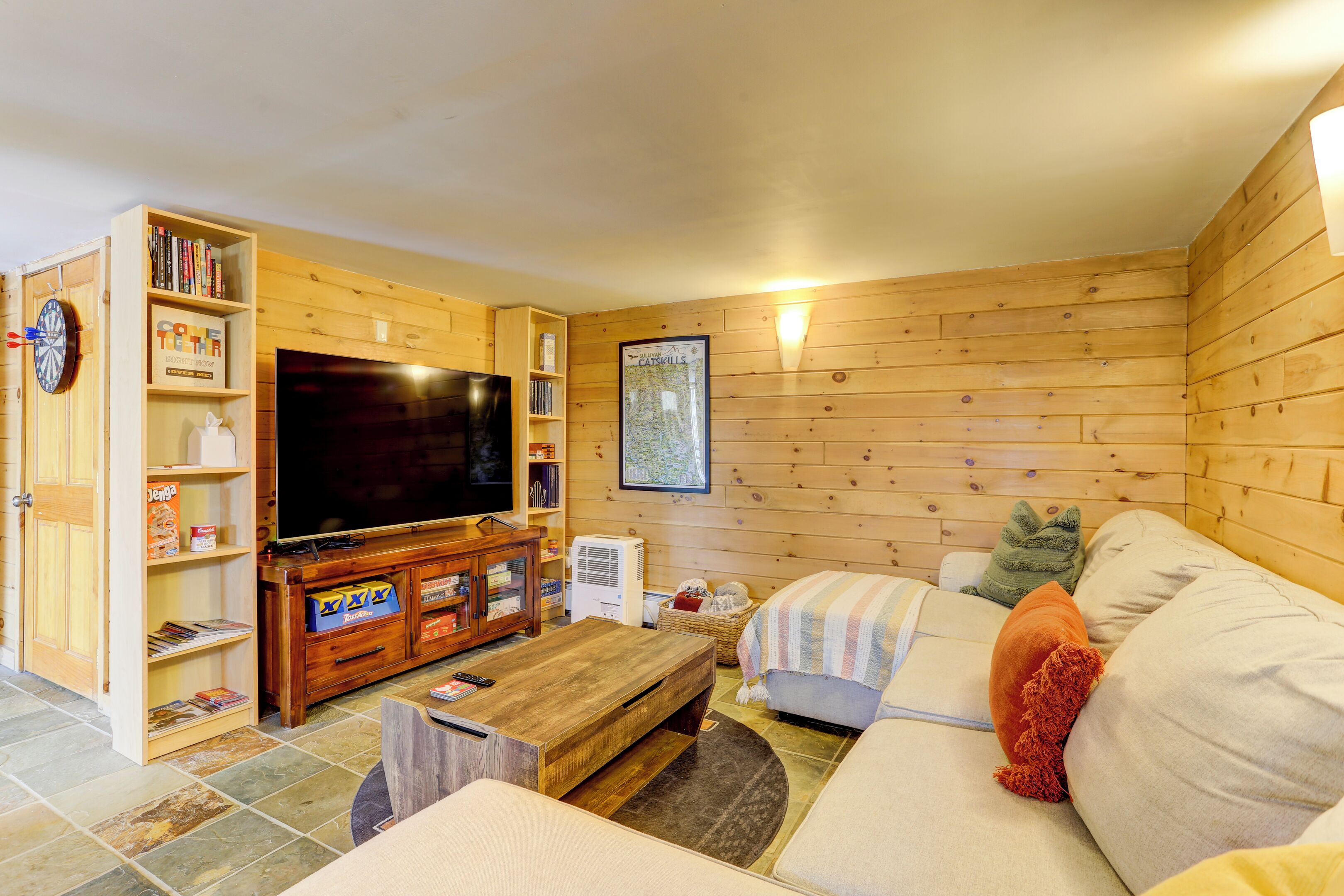 TV connectée, cheminée, livres, médiathèque