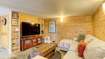 TV connectée, cheminée, livres, médiathèque