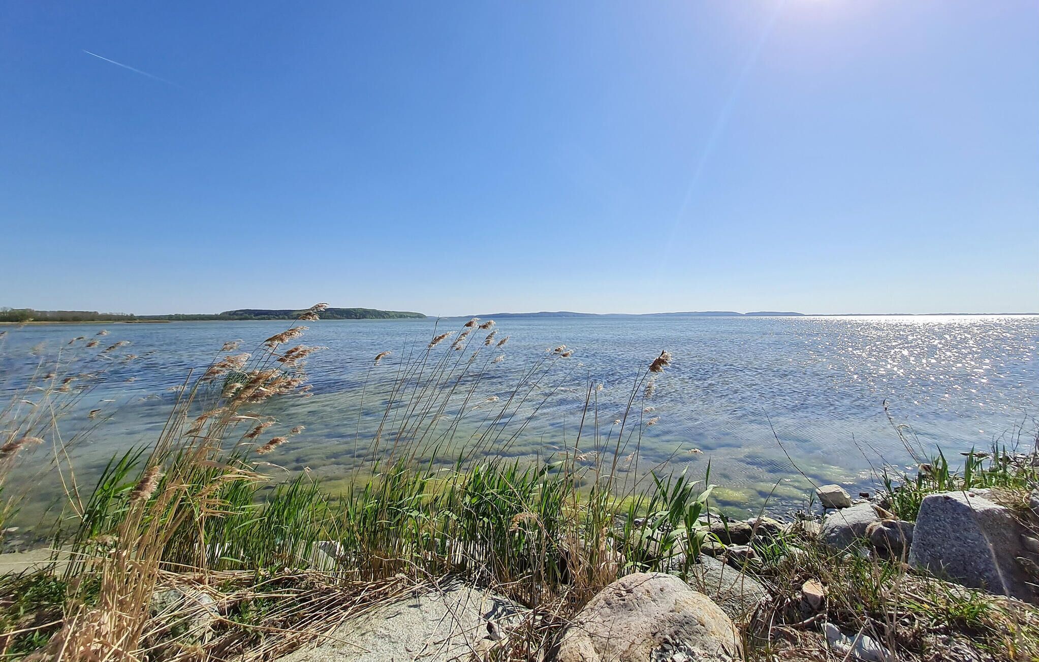 A clear view of a lake with a distant island, surrounded by rocks and reeds.