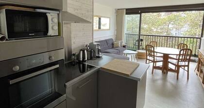 Seignosse Ocean, charming renovated apartment, with two-bedroom, close to the beach, ideal for a...