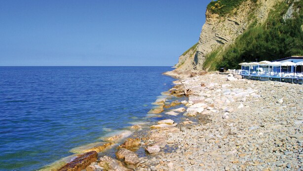 A rocky beach with clear blue water, a cliff, and a row of beach umbrellas.
