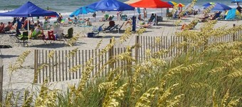 Family-friendly Cottage minutes from the beach. Dogs welcomed- additional fee.