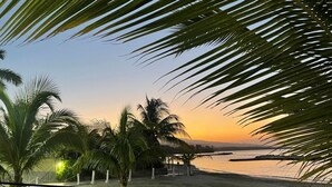 Vista de playa con palmeras y un atardecer.