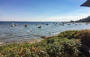 Beach nearby, fishing