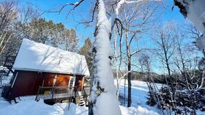 A cabin with a snow-covered roof, surrounded by trees and a clear sky. - Adventures On the lake / boat, cinema, spa, trails (Chute-Saint-Philippe)