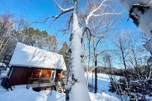 Een blokhut met een met sneeuw bedekte dak, omringd door bomen en een heldere lucht.
