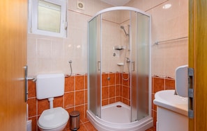 Shower, hair dryer