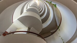 Un escalier en colimaçon au design moderne, composé d’une série de cercles concentriques et agrémenté d’une plante sur le côté droit.