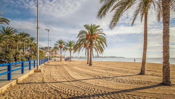 Une plage de sable avec des palmiers et une rambarde bleue.