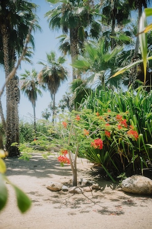 Exterior - La Poza Boutique Hotel & Spa - Adults Only (Todos Santos)