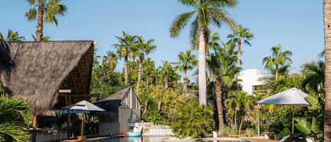 A pool area with lounge chairs, umbrellas, and palm trees.
