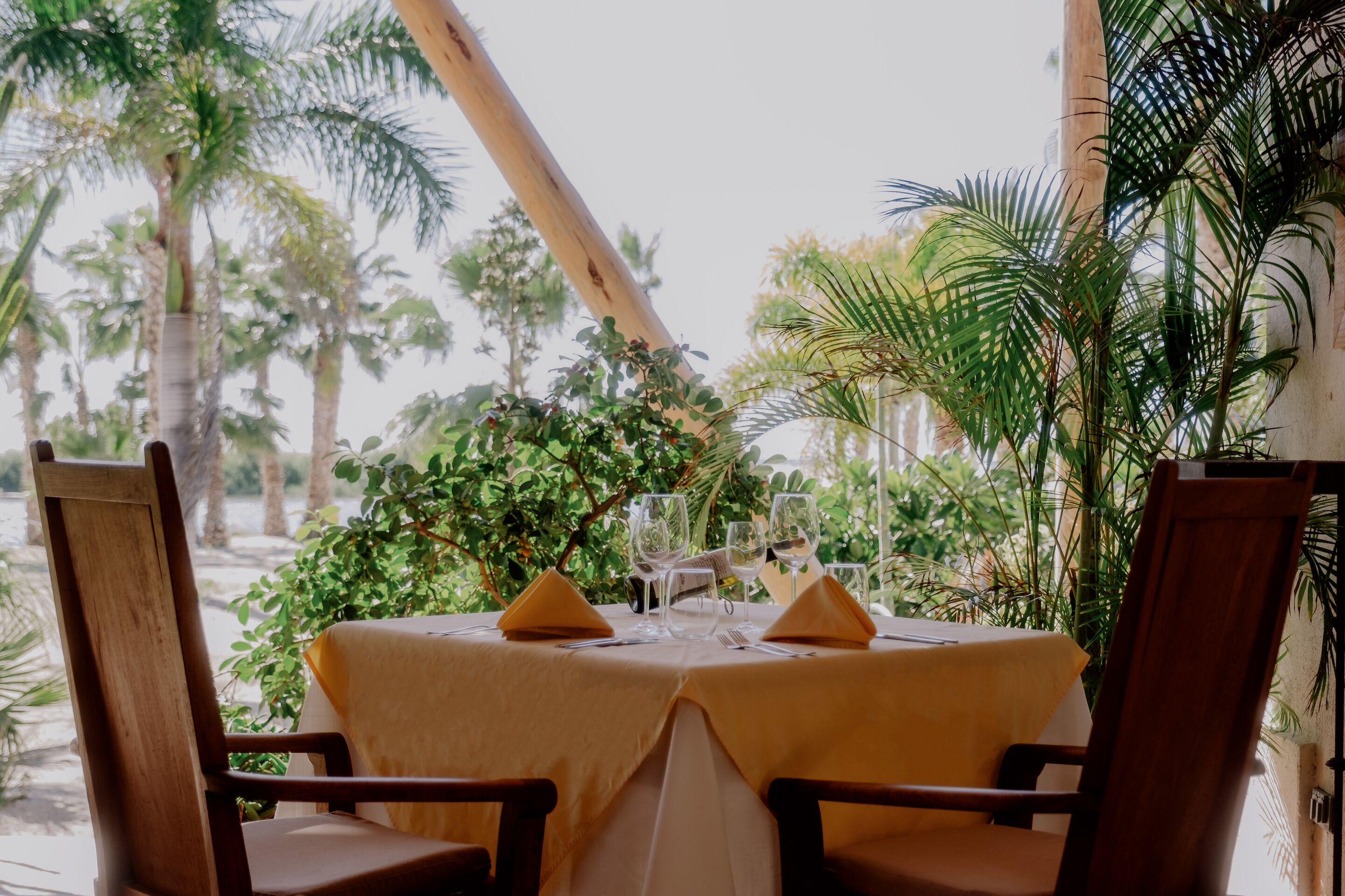 Une table dressée pour deux personnes, recouverte d’une nappe jaune, avec deux chaises en bois, et un décor tropical avec des palmiers en arrière-plan.