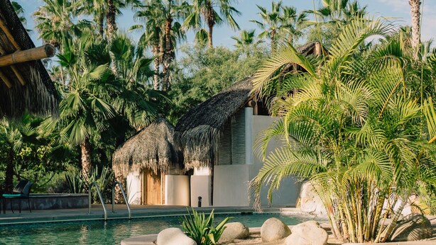 A clear pool surrounded by palm trees and a thatched-roof structure. - La Poza Boutique Hotel & Spa - Adults Only (Todos Santos)