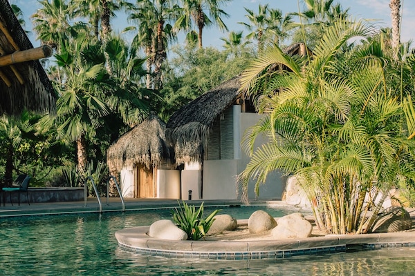 Outdoor pool, open 7:00 AM to 8:00 PM, free cabanas, pool umbrellas