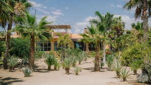 A courtyard with palm trees and a building with large windows. - La Poza Boutique Hotel & Spa - Adults Only (Todos Santos)