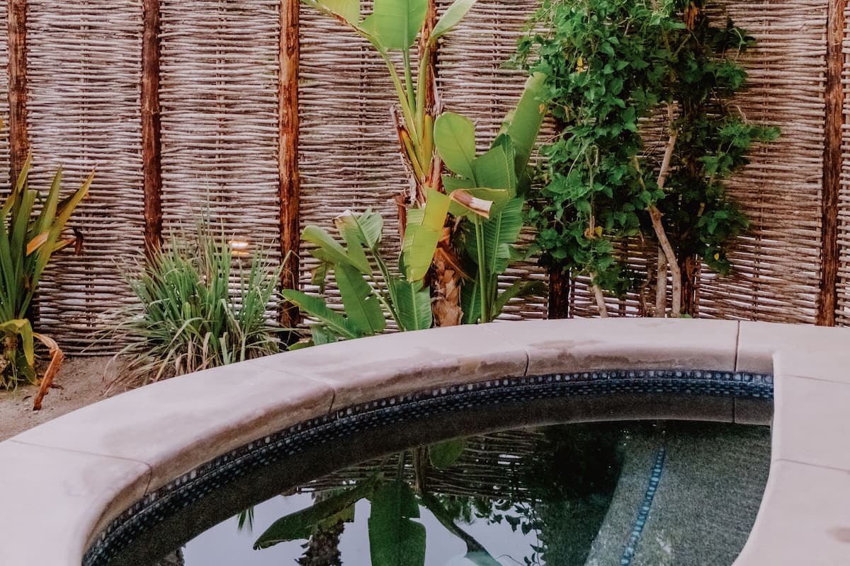 A circular pool with a tiled edge, surrounded by lush greenery and tall palm trees.