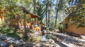 A cabin with a wooden exterior, a small pond, and a stone pathway. - Homey Cabin with Jacuzzi Near Ski Apache (Ruidoso)